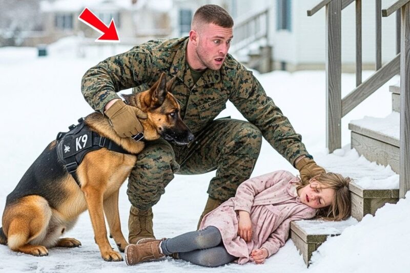 Little Girl Found Unconscious in the Snow — What a U.S. Marine and His K9 Did Next