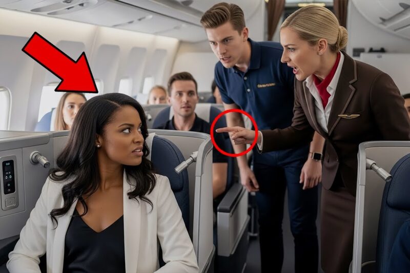 Flight Attendant Mocks Black Woman in Business Class — Minutes Later She Shuts Down the Plane