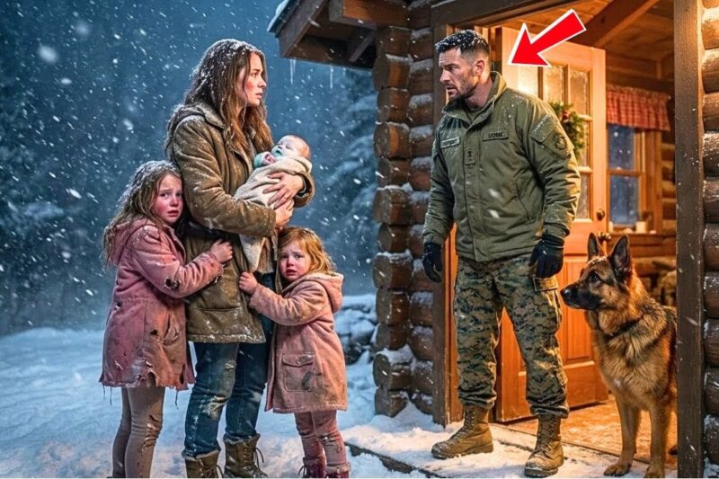 Christmas Eve, She Fled Into the Snow with Her Kids — Until the U.S. Marine Opened His Door