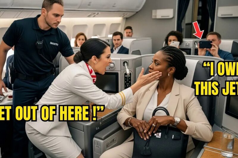 Flight Attendant Slapped a Black CEO on Her Own Jet – 10 Minutes Later She Fires His Entire Teams