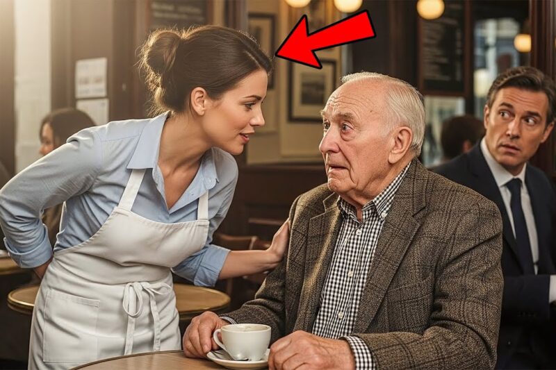Everyone Ignored the French Billionaire — Until the Waitress Surprised Him by Speaking French