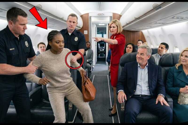 A Black Girl Was Removed From First Class by Staff — Then the Captain Canceled the Entire Flight