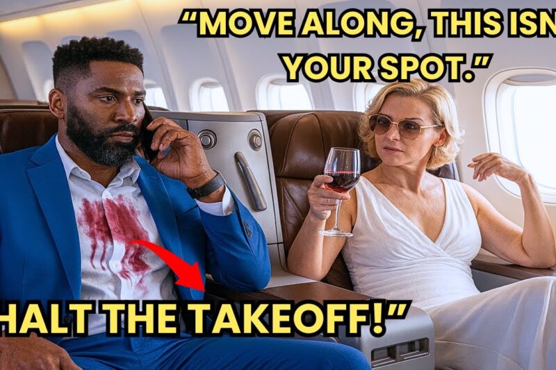 They Humiliated the Black CEO on the Plane — Then the Entire Airline Instantly Paid the Price